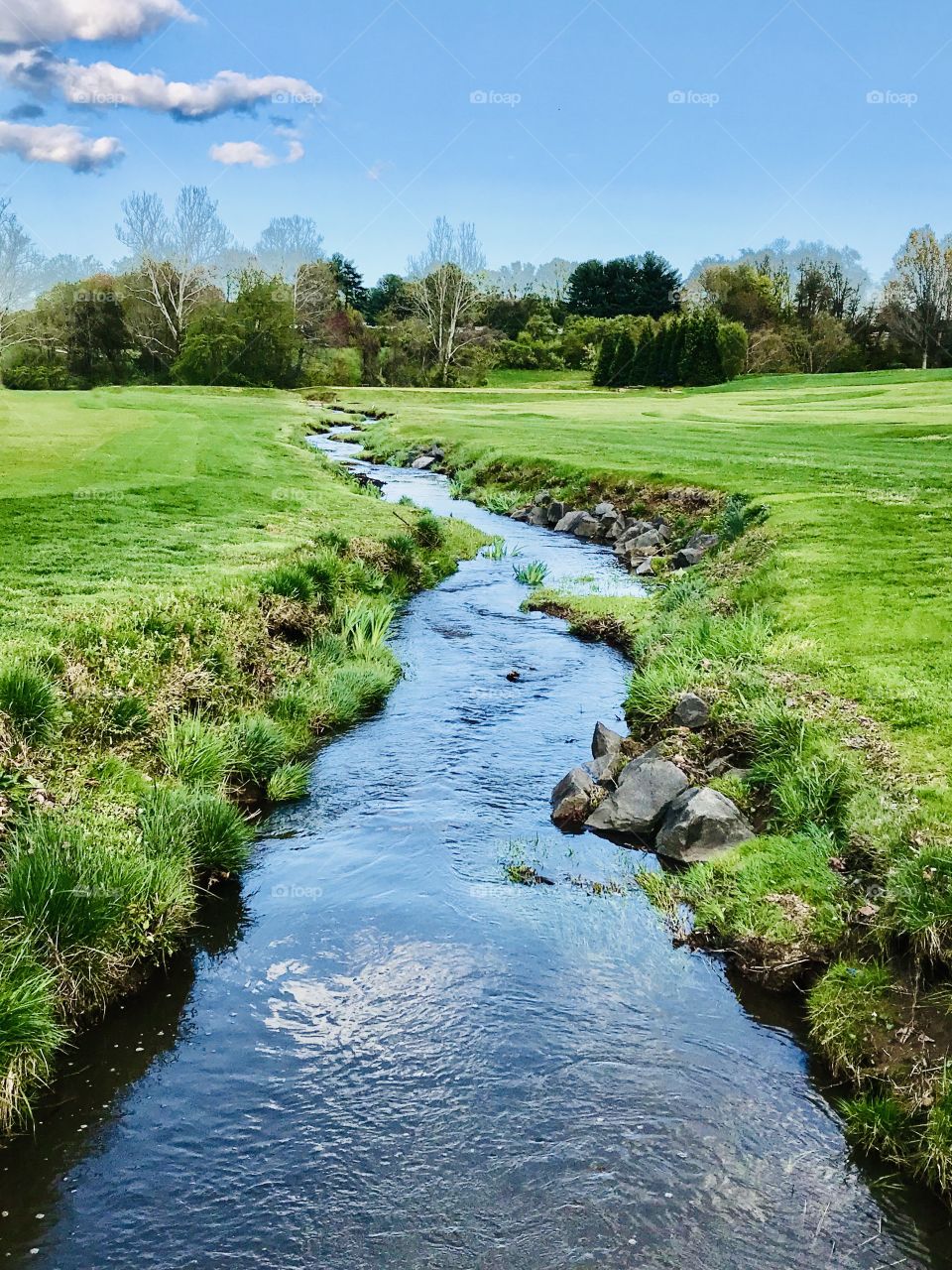A creek running through green pastures 