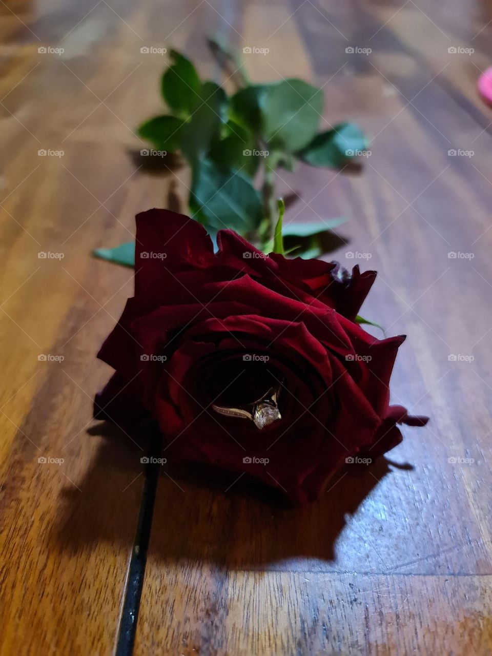 Engagement ring in rose