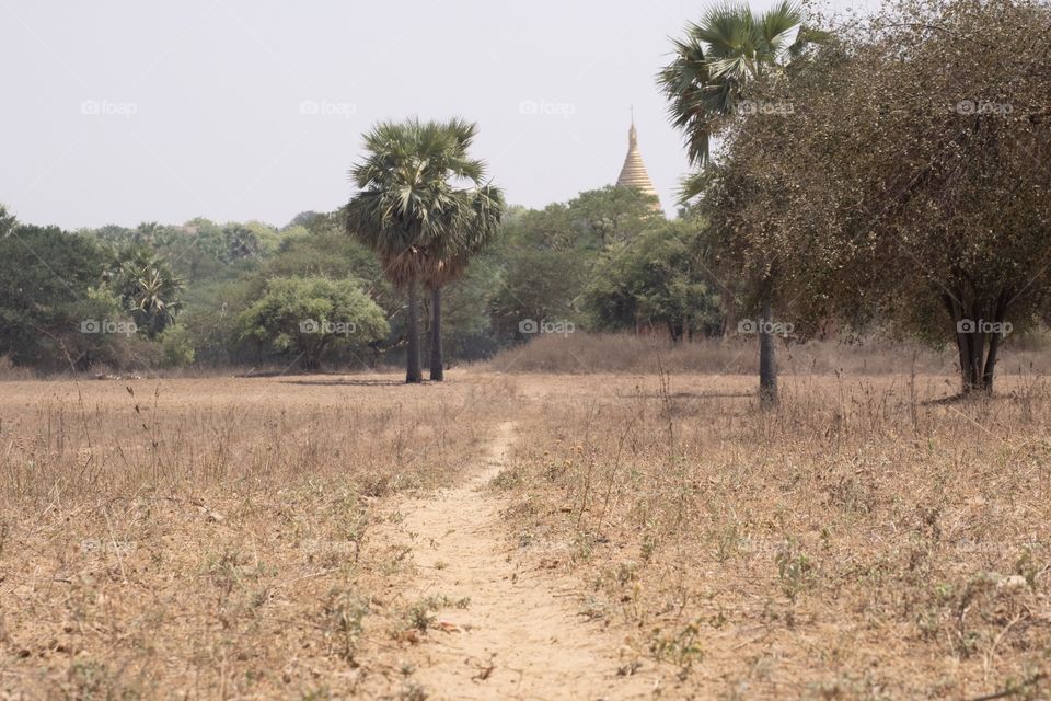 ongoing drought condition