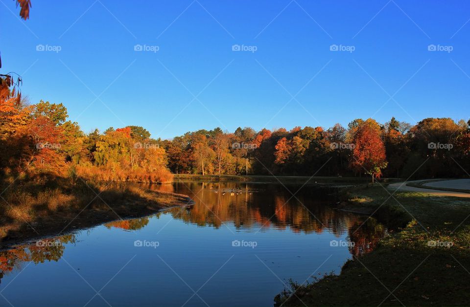 Fall Colors in Wisconsin....