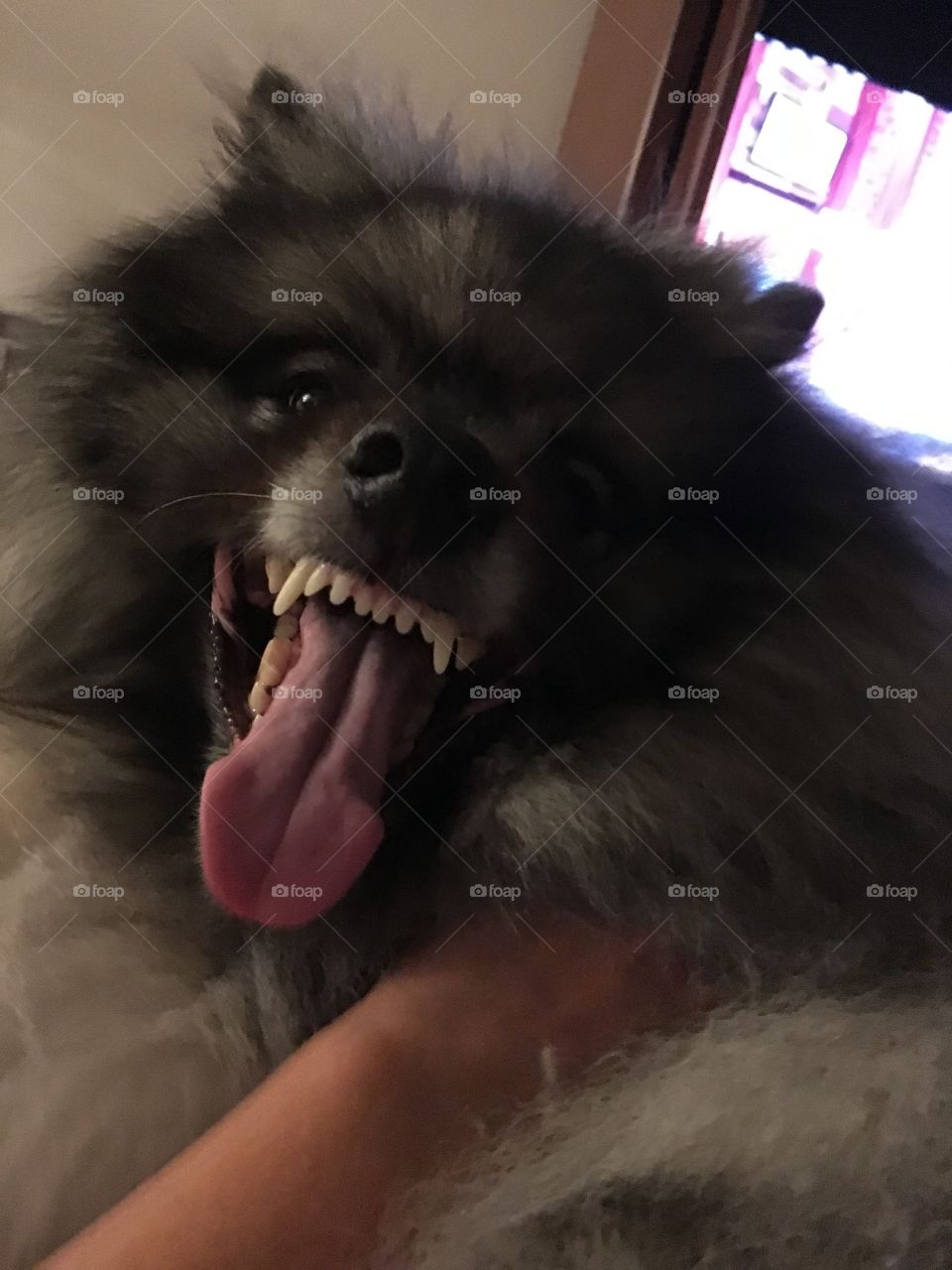 He thinks it's funny