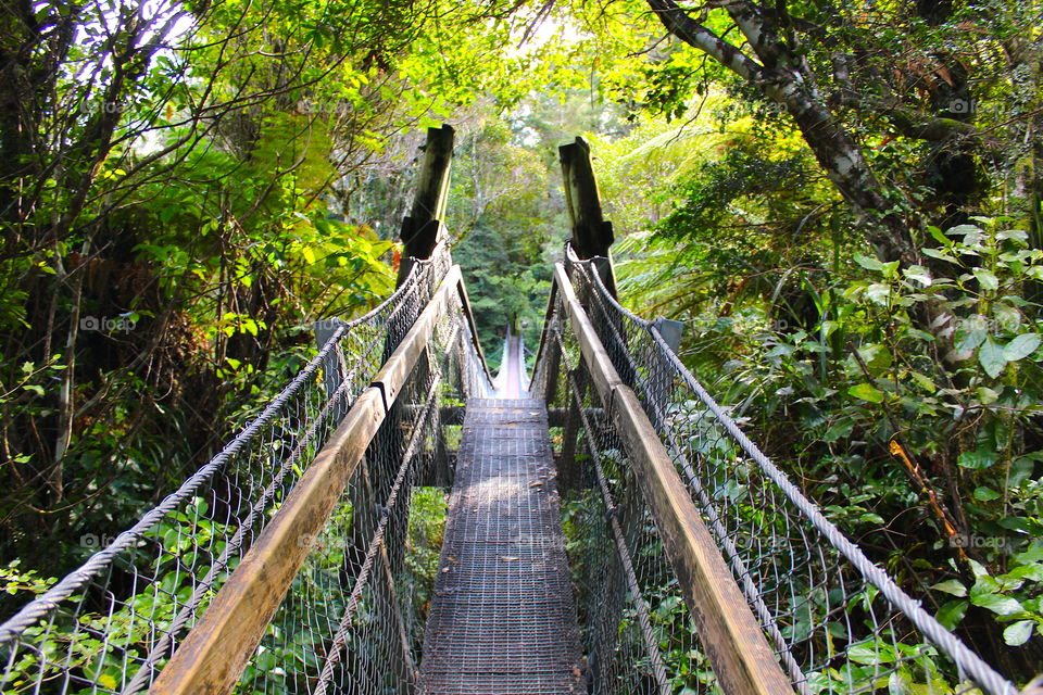 New Zealand swing bridge 