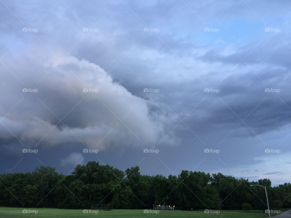 Storm Clouds and Trees