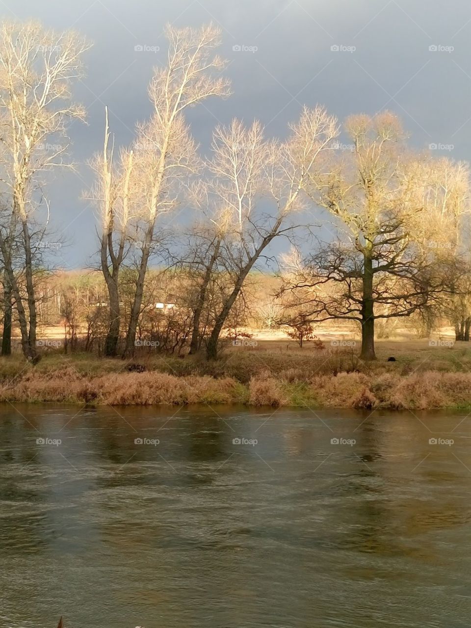 Before rain, at the river