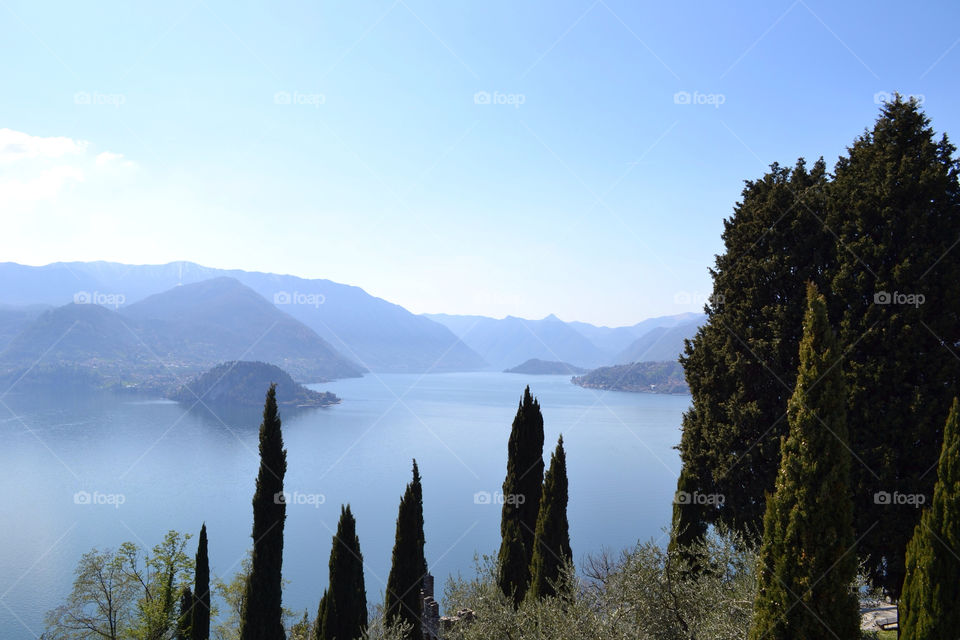 italy trees water lake by smaddockdesigns