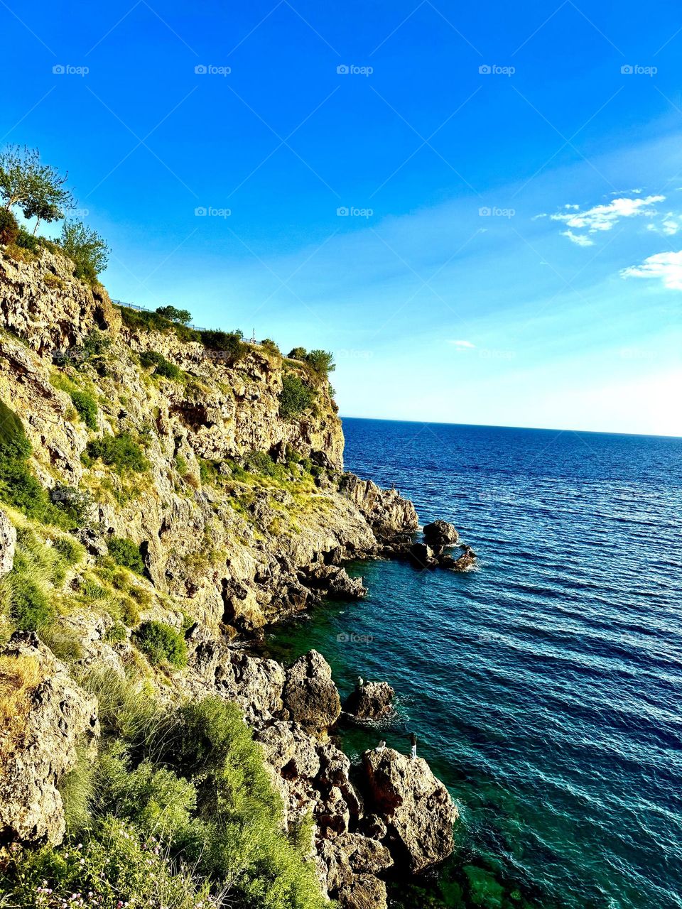 Скалистый берег моря