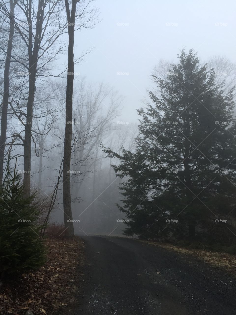 Fog ahead