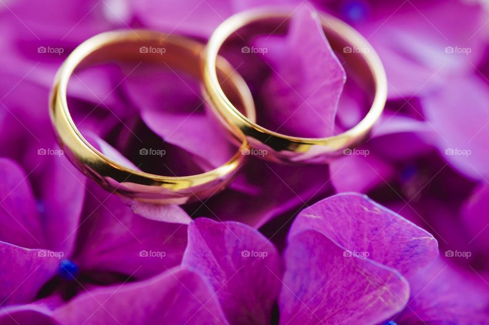 close-up of wedding rings on pink hydrangea flowers