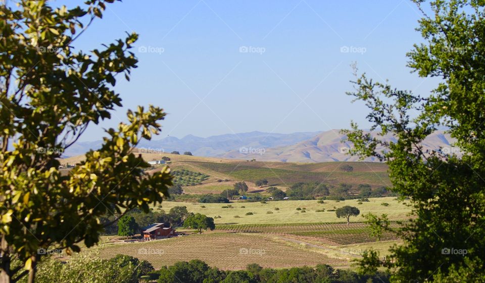 Country Landscape with blue sky.
