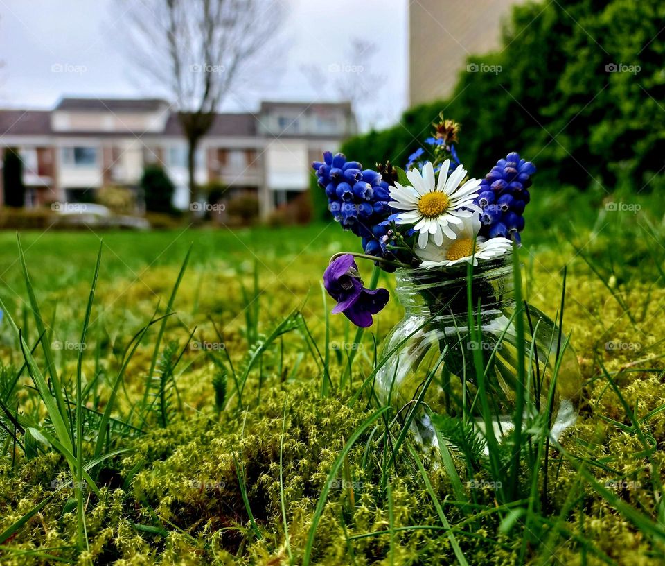 spring flowers in a vase
