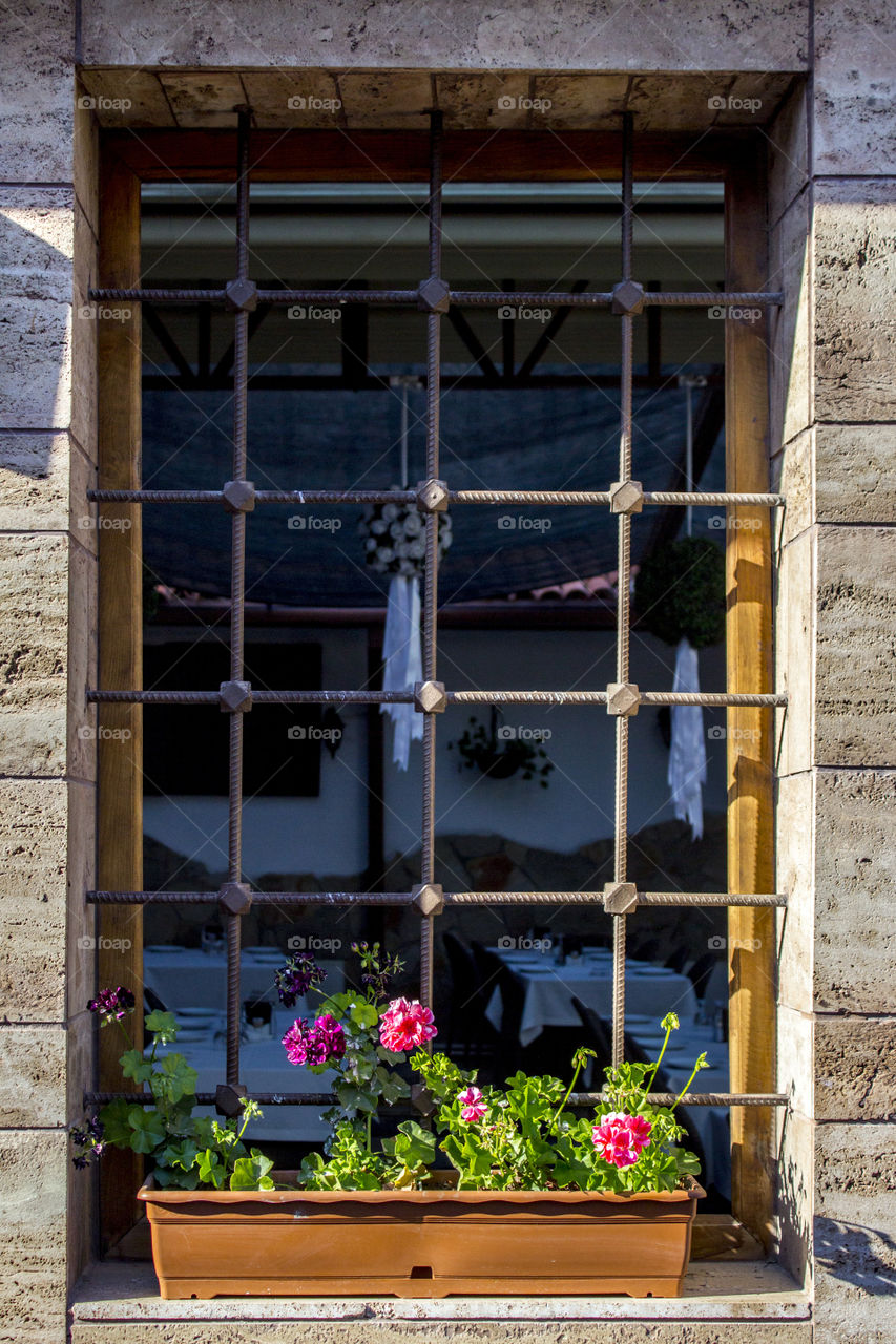 flowers in front of old window