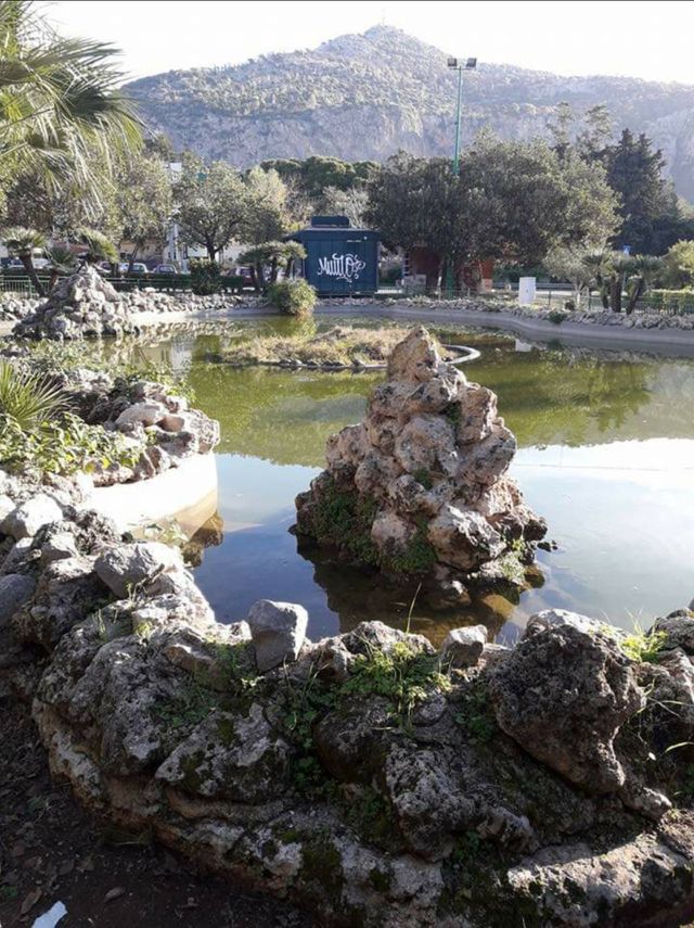 garden