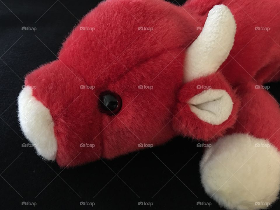 Plush bull profile 