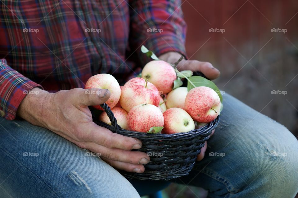 male hands with apple
