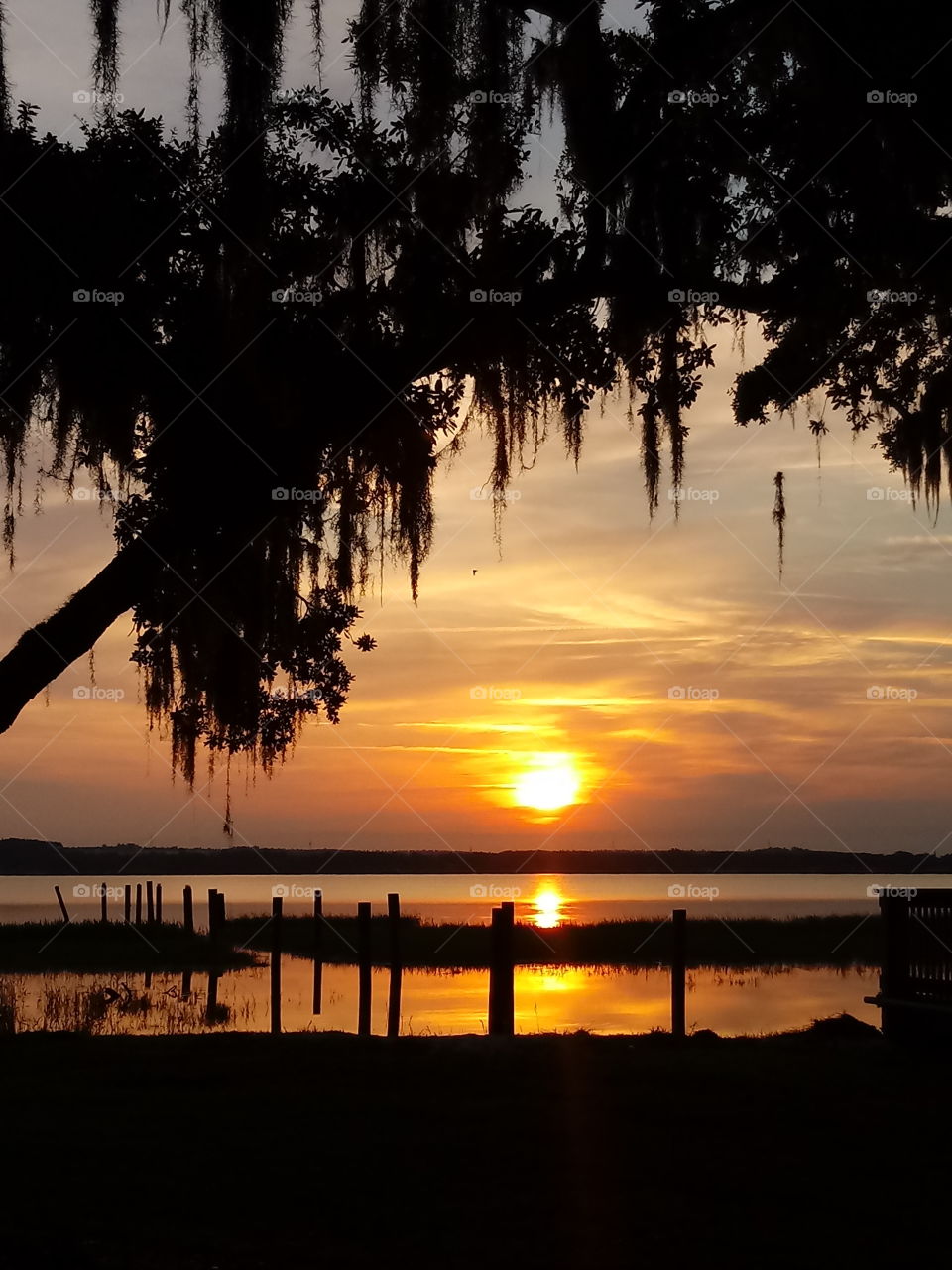 Floridan Chain of lakes sunrise