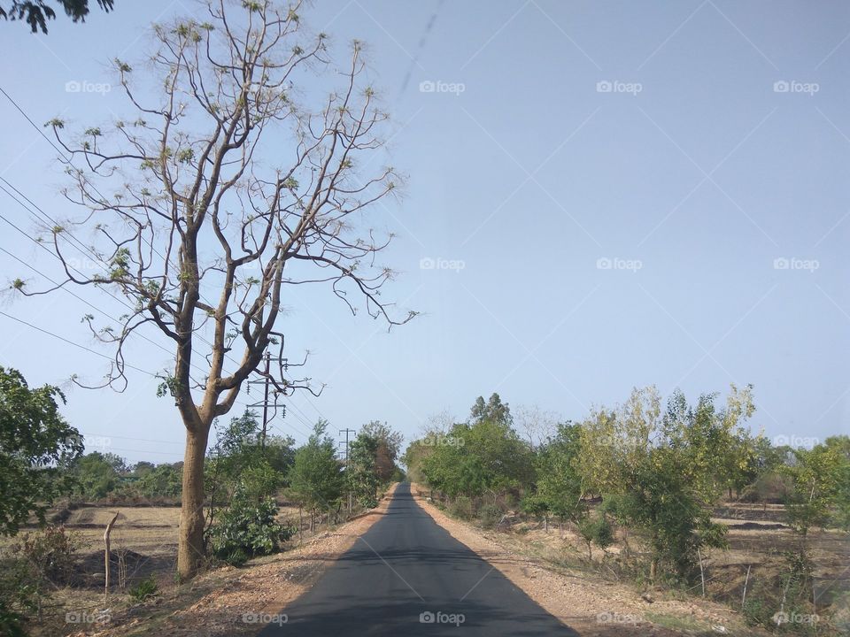 Let the vacation begin!