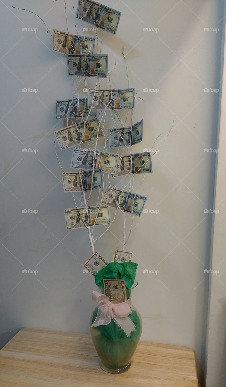 My Money Tree