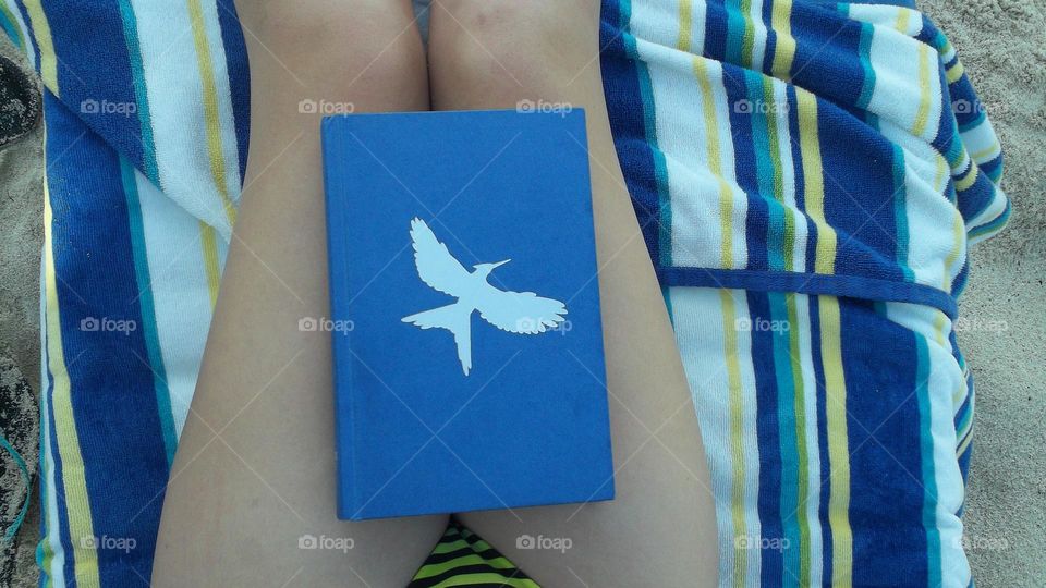 Blue journal depicting silver bird on lap of young sunbather sitting on towel