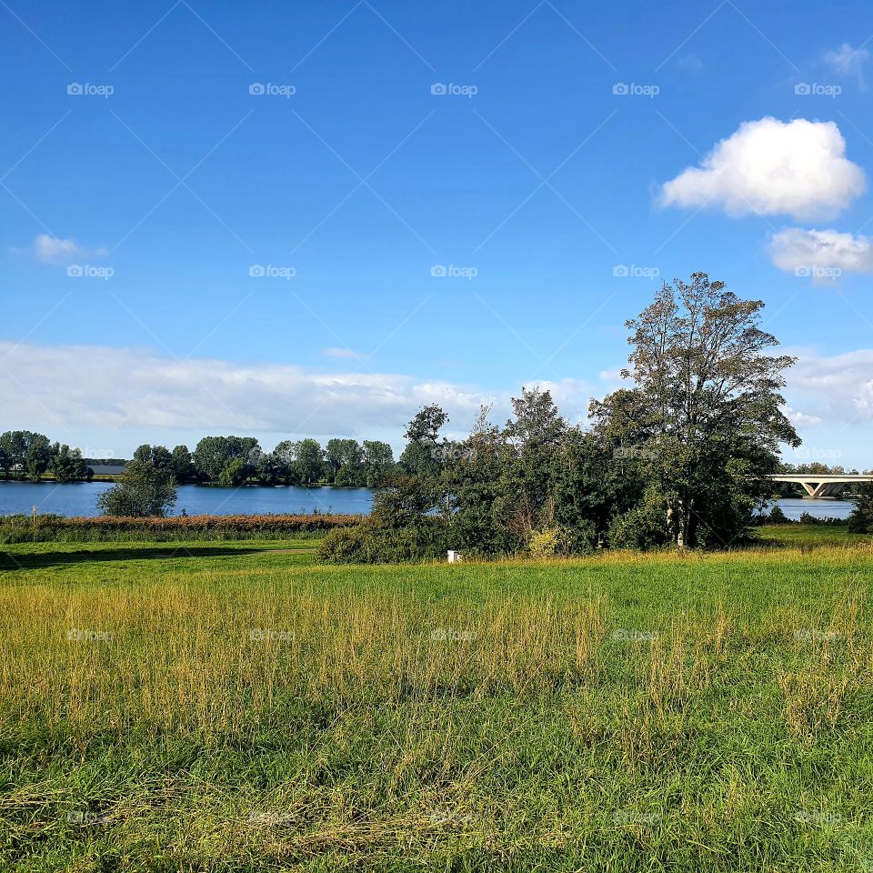 View of the Brielse lake. And a piece of the Brielle bridge.