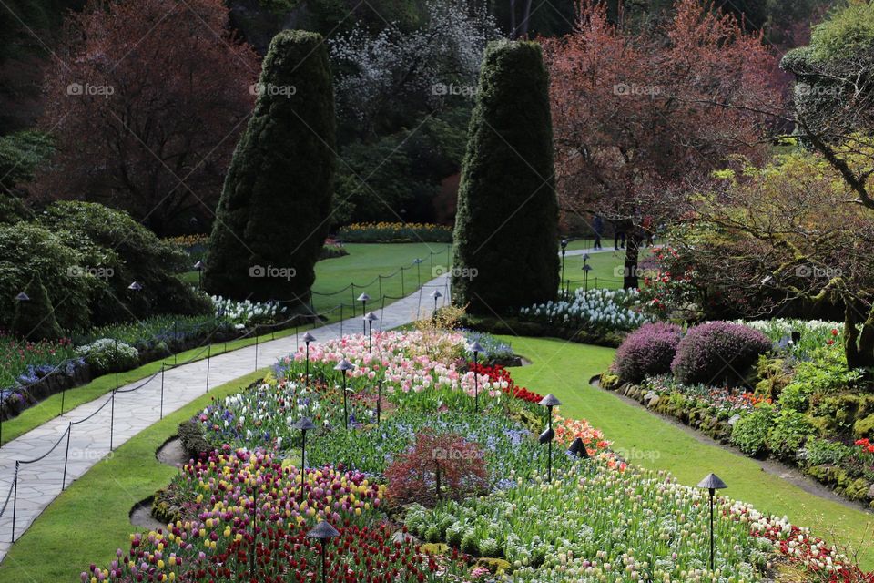 Buchart Gardens 