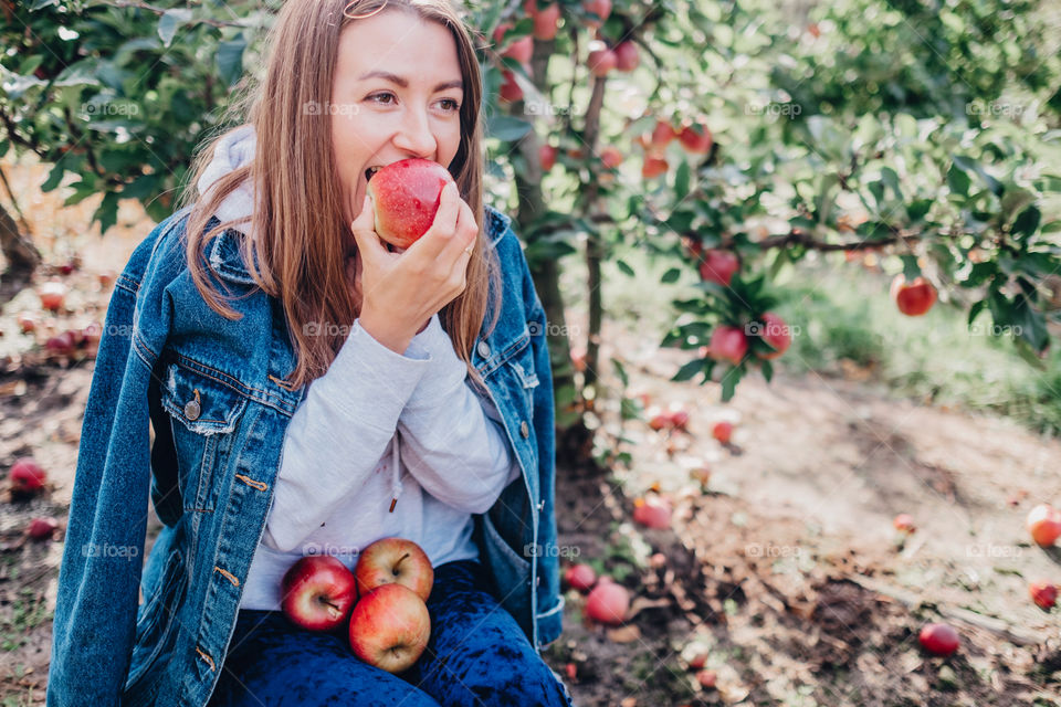 Girl picking fruit and eating fresh apple at the orchard