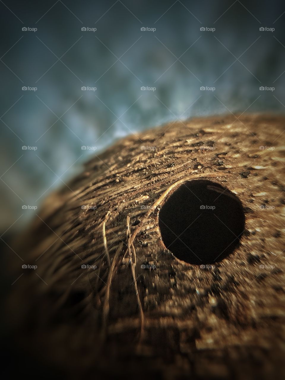 Little hole in small coconut | Photo with iPhone 5S + Macro lens.
