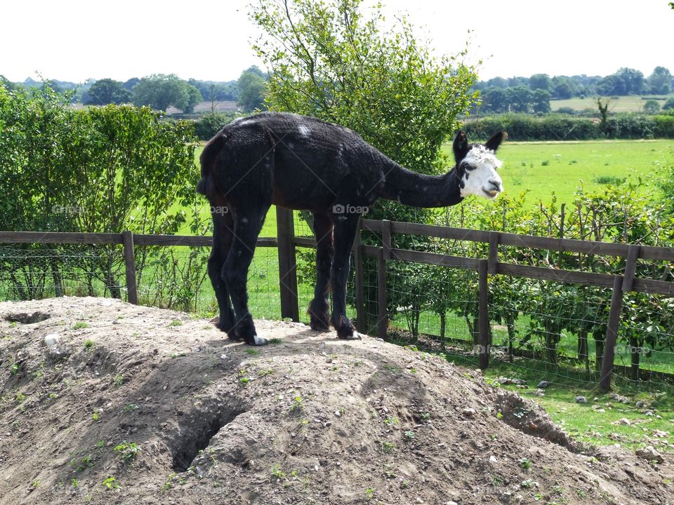 lamma saying cheese 😁
