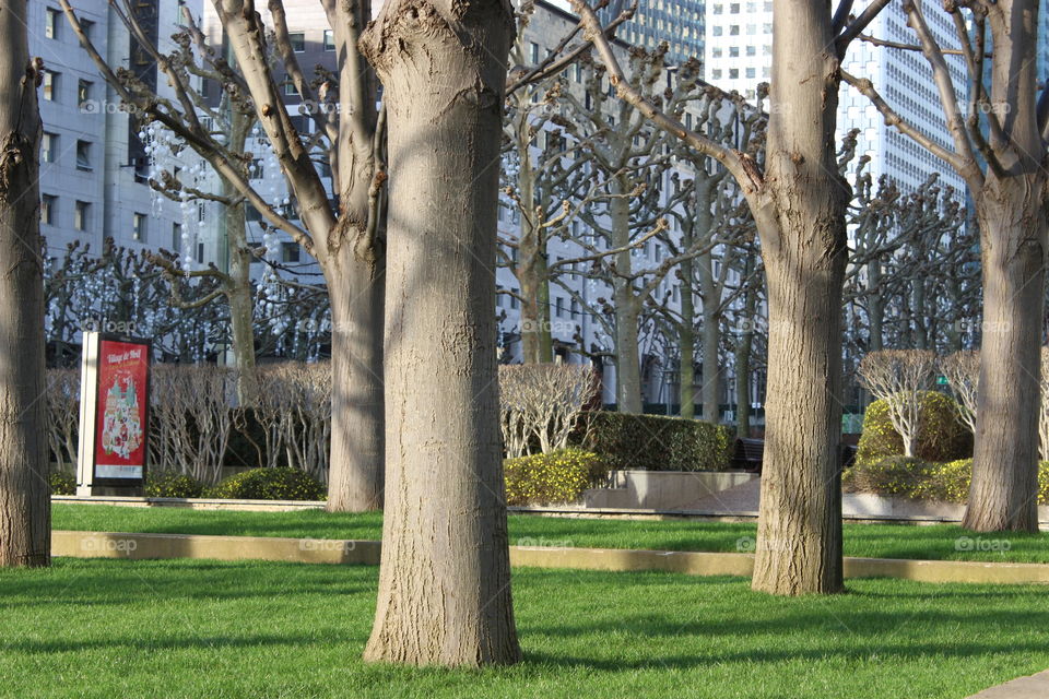 Inside a park in Paris.
 The Defence.