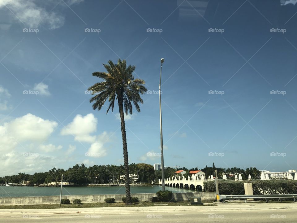 Paisaje isla de Miami Beach 