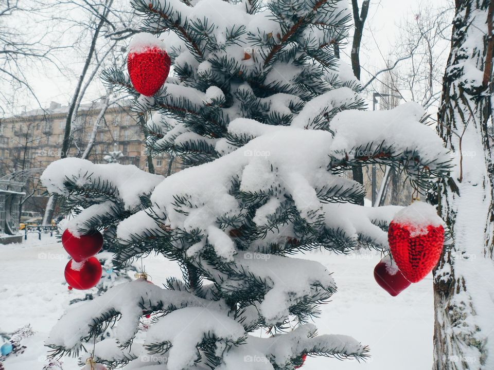 New Year's toys on a pine tree