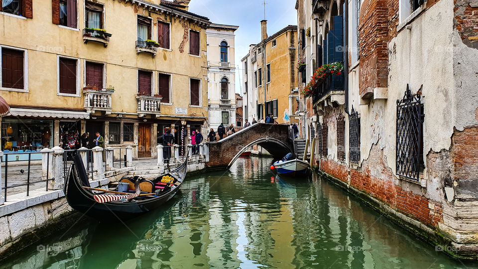 venizia