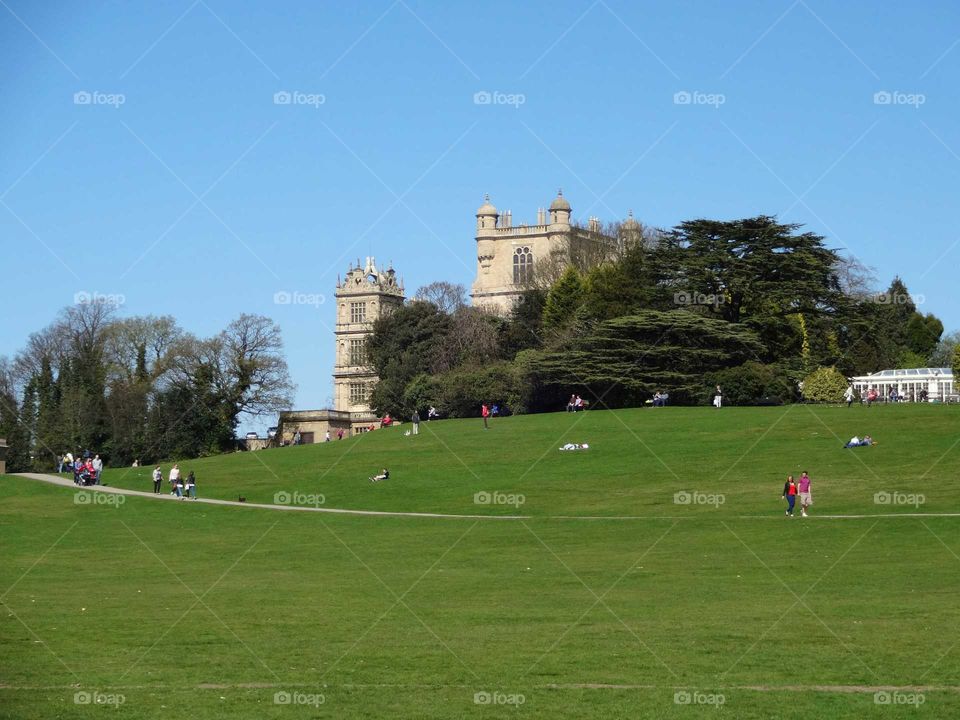 landscape of family leisure activities