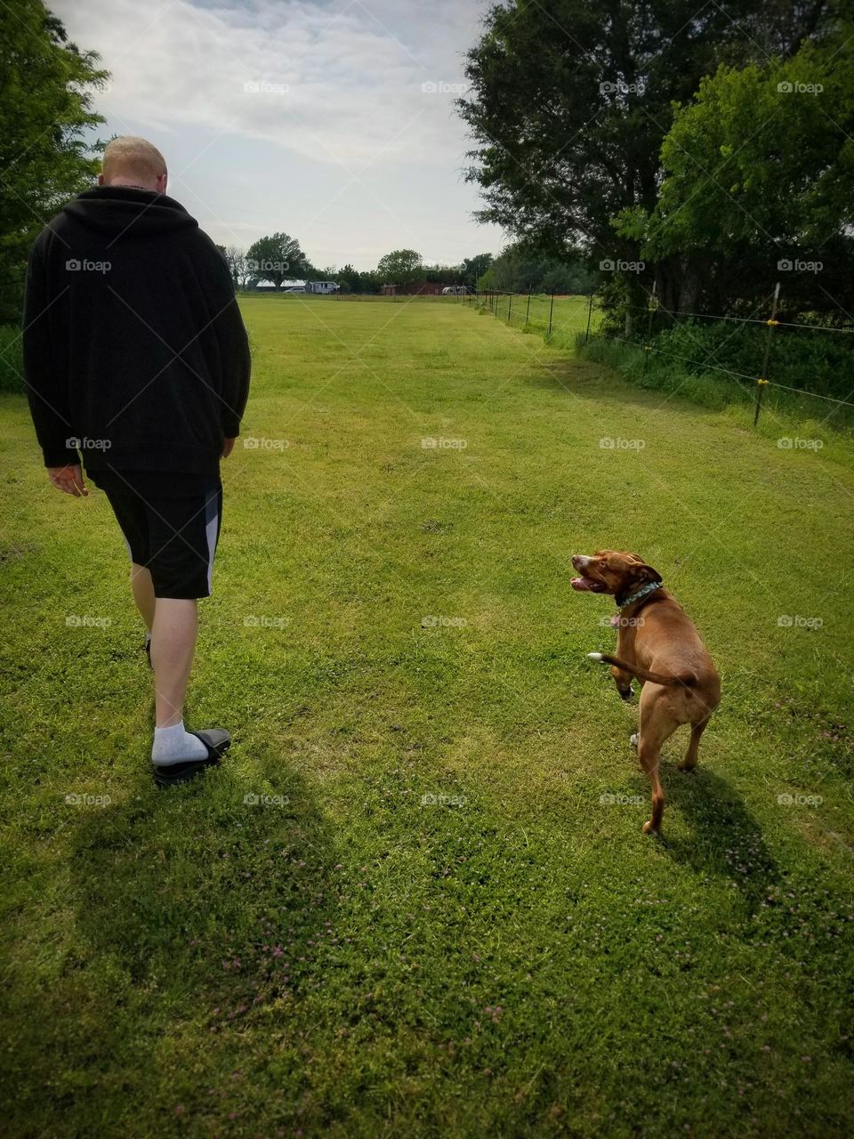 Man & smiling dog walking together on grass