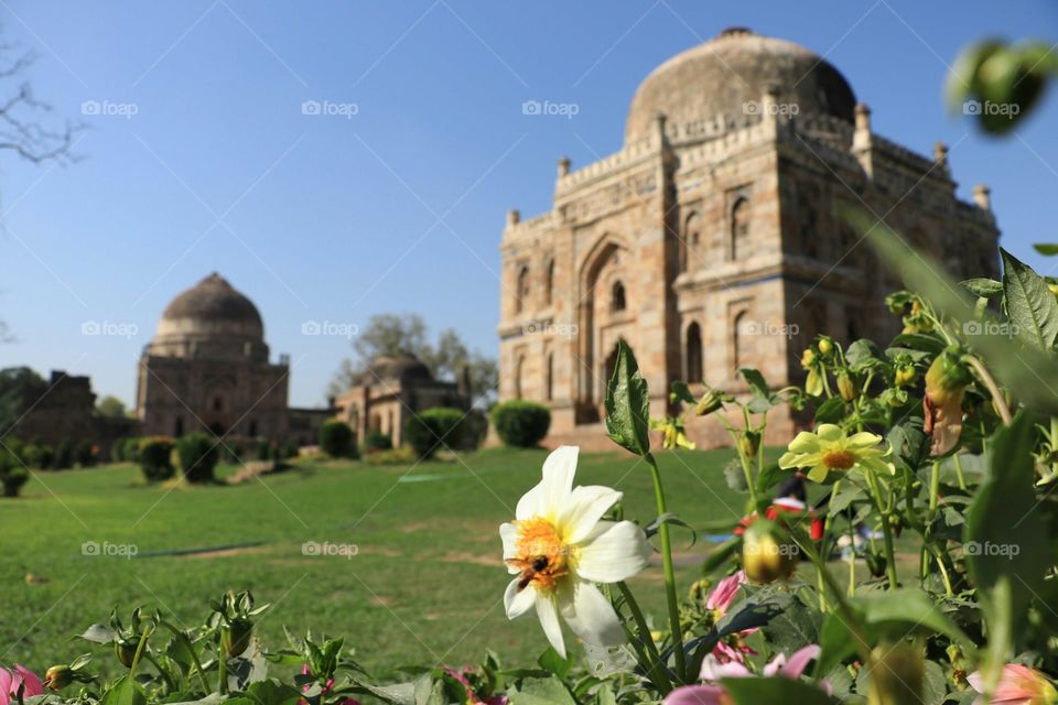 Blend of nature and history.
Lodhi Garden in Delhi is a perfect blend of nature and history.