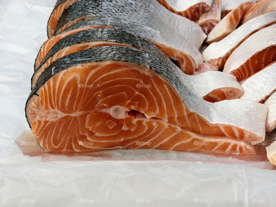 salmon fish