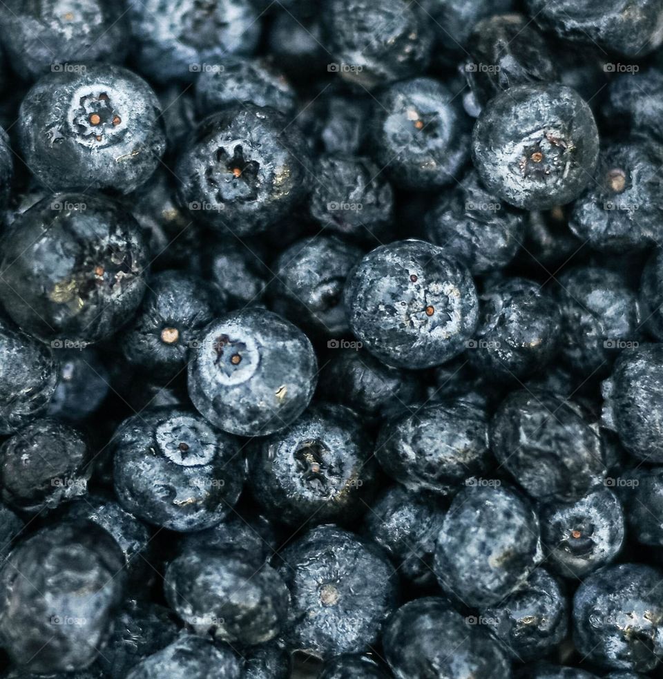 Blueberry macro 