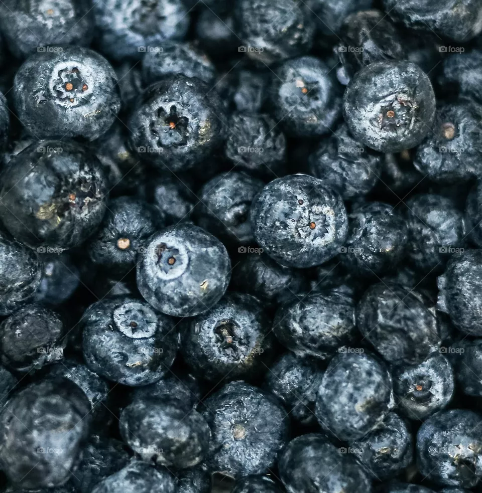 Blueberry macro 
