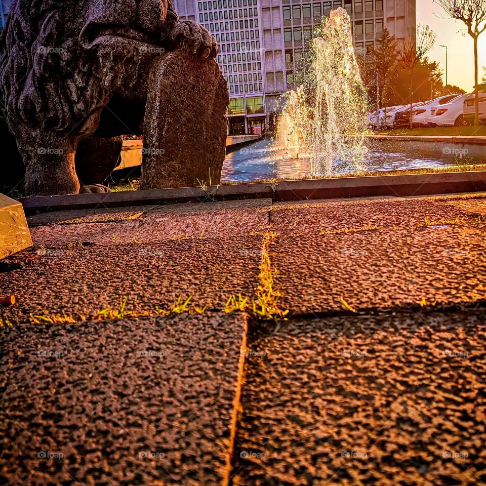 Hello Turkey ❤️❤️❤️