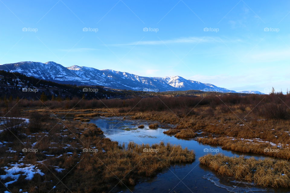 Frozen wetlands beneath snowy mountains