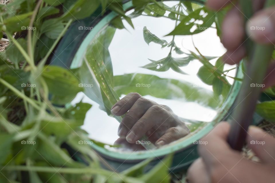 Hand and reflection in the mirror