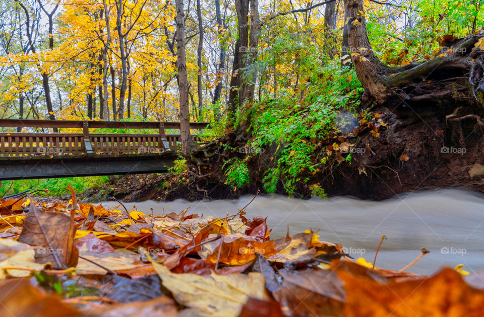 walking bridge over the flowing creek during the fall