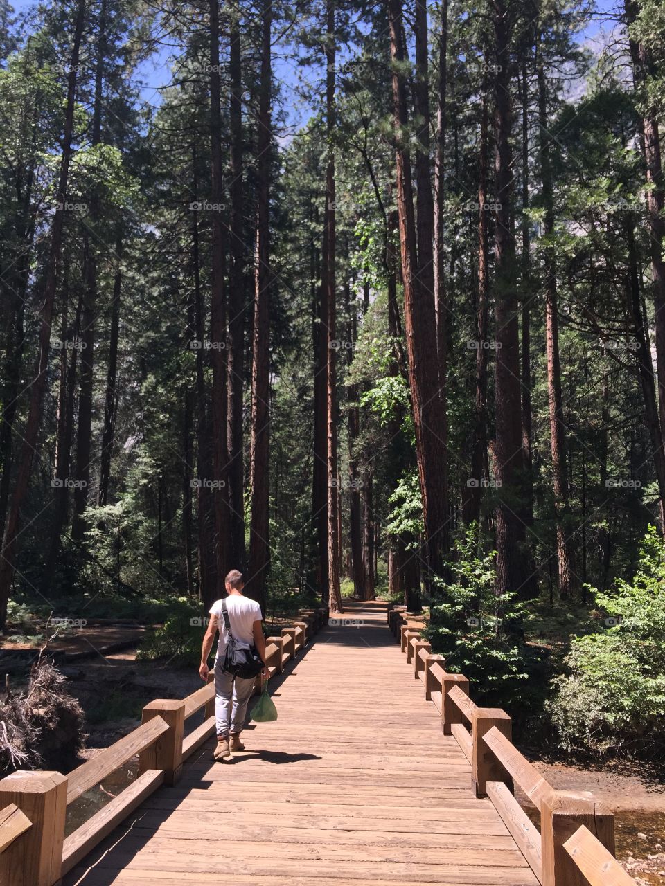 Man in the bridge in the woods