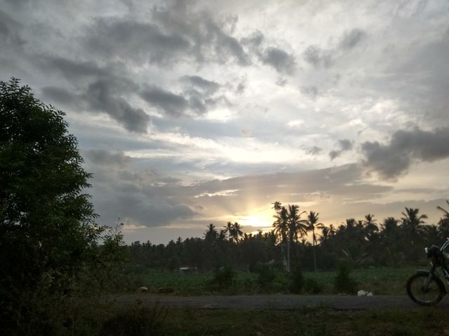sunset