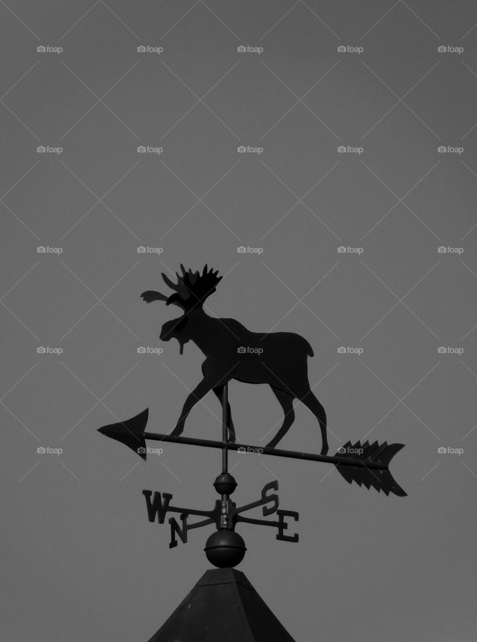 Vintage Vibes: Moose Weathervane. Weathervanes indicate wind direction and often feature. Weathervanes are placed on the highest point of the building