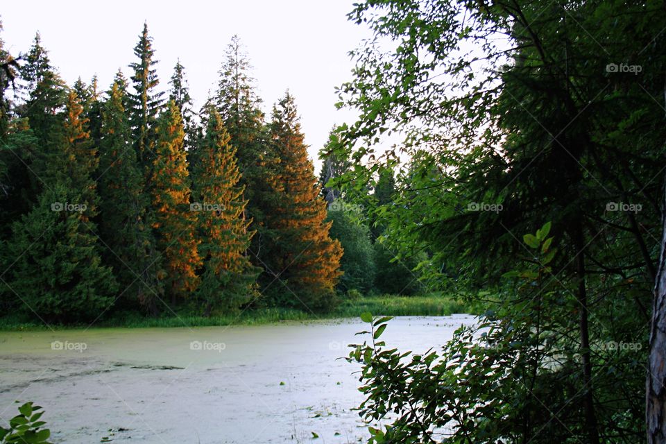 View from the shore