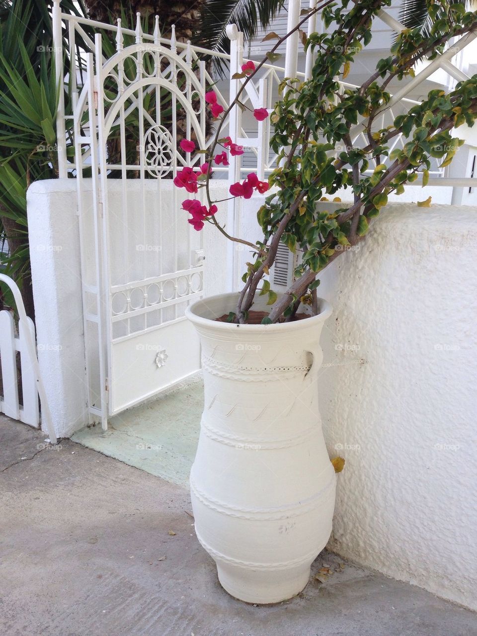 summer flower bougainvillea urn by jeanello