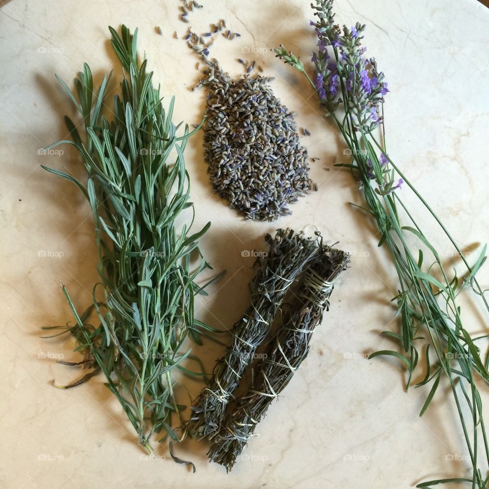 Drying Lavender Flowers Leaves Seeds and Smudge Sticks
