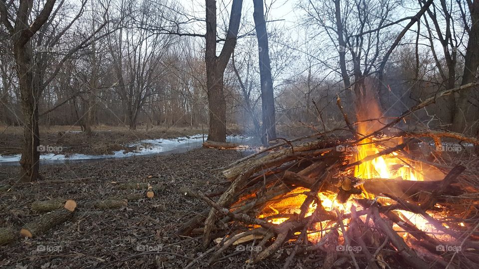 Fireside in the Wilderness