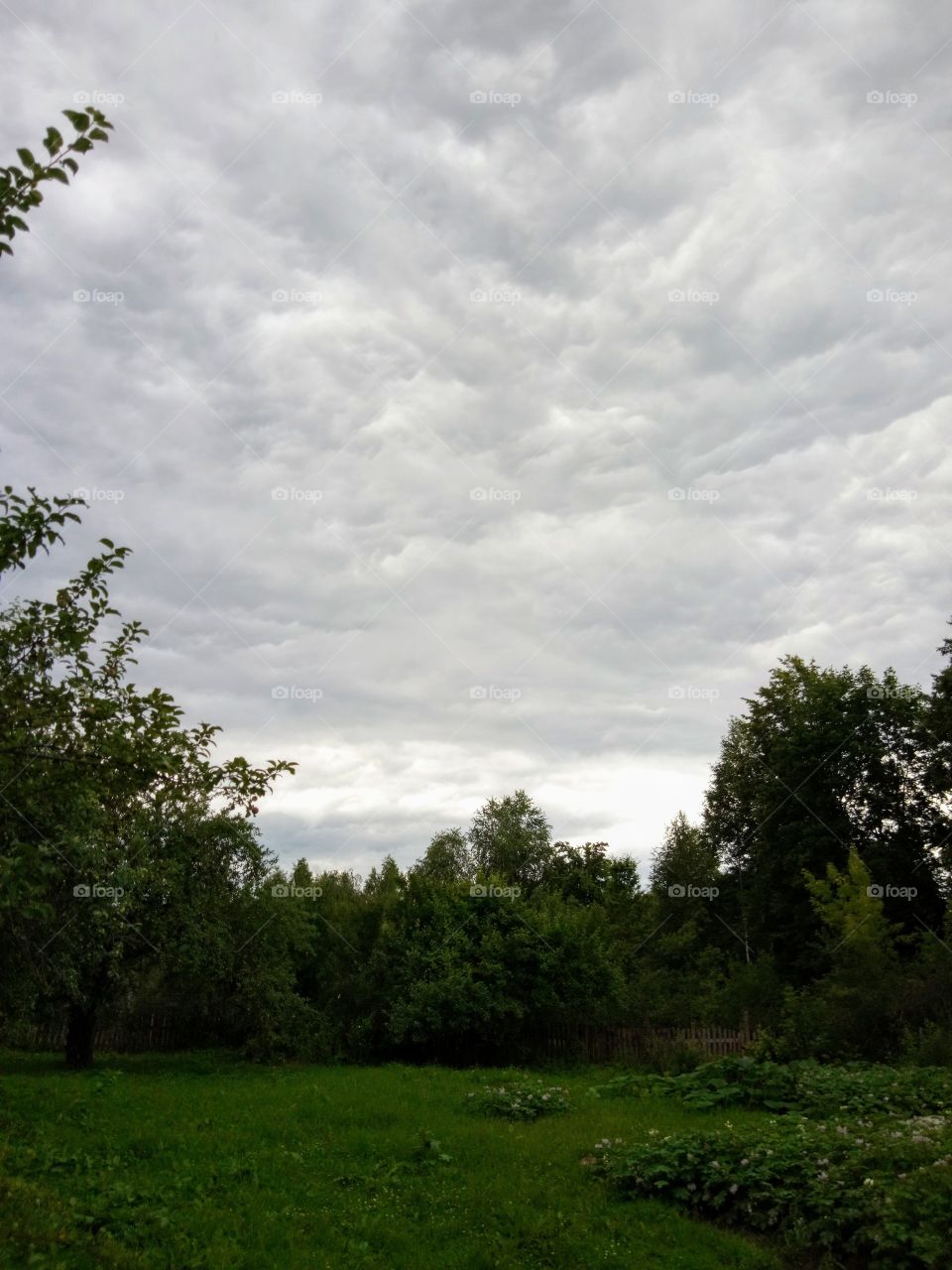 природа России