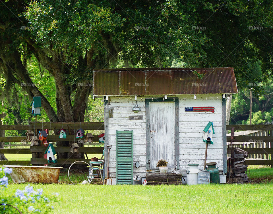 She’s and bird houses in the countryside 